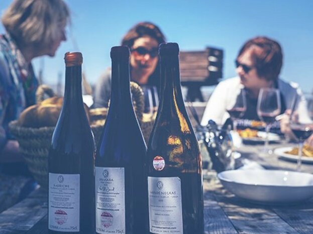 Private Vineyard Wine Tasting & Cooking Class