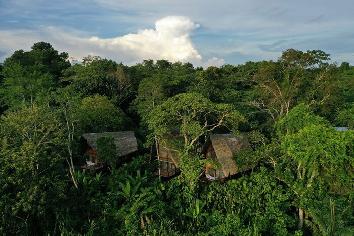 Explore the Amazon jungle while staying in a romantic bungalow (photo courtesy of Calonoa Lodge)