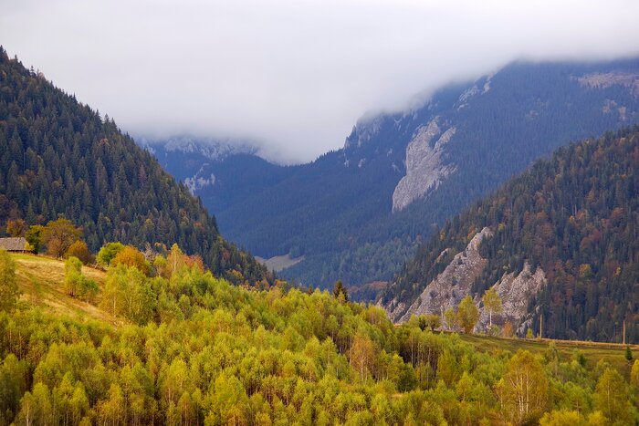 Autumn landscape in the Carpathians, Romania