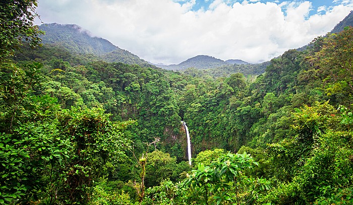 Zip Lining Adventure & White Water Rafting Class II & III