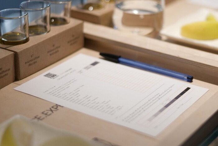 Private Tuscany Day Trip with Olive Oil Experience & Winery Lunch