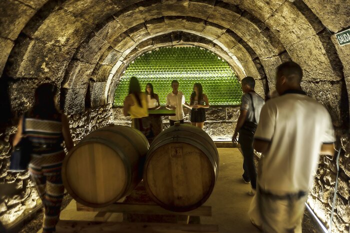 Visit to La Rioja Winery