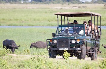 Chobe Safari