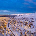Travel through snowy forests under the northern lights