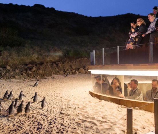 Full Day Phillip Island Tour & Penguin Plus Upgrade