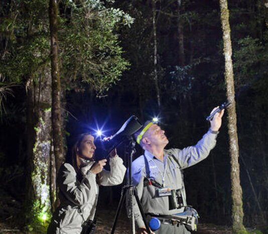 Night Tour at Hotel Savegre