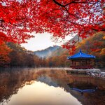 Enjoy the autumnal views as you explore Naejangsan National Park in October