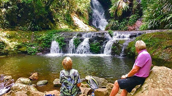 Private Tamborine Mountain & Lamington National Park Trip