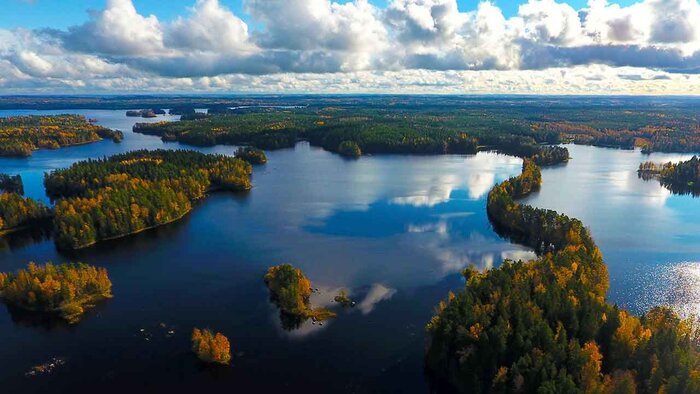 Magical Taiga Forest Hike