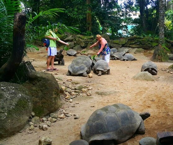 VICTORIA & BOTANICAL