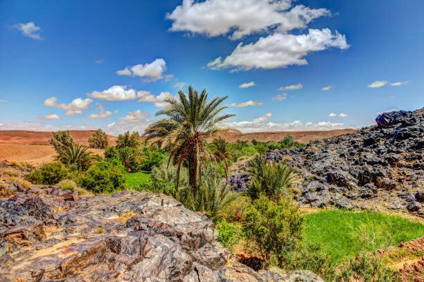 Skoura to Marrakech via Ouarzazate & Aït Benhaddou