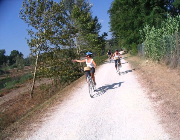 Bike and Wine in Lucca