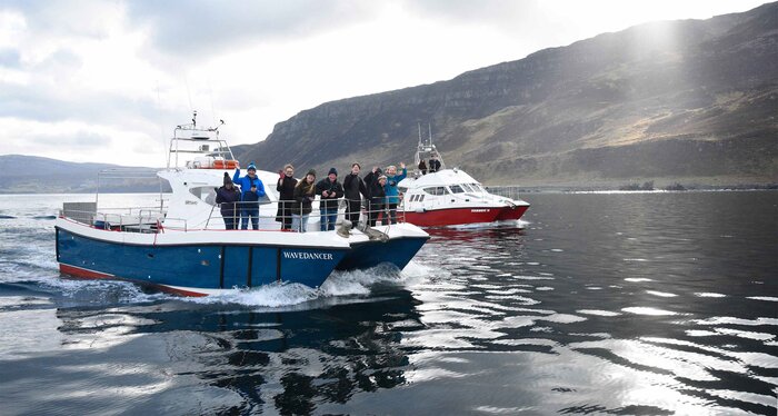 Catamaran Sea Eagle & Wildlife Cruise