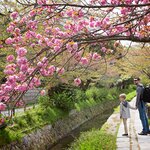 Experience Japan's warm culture on a 10-day family trip