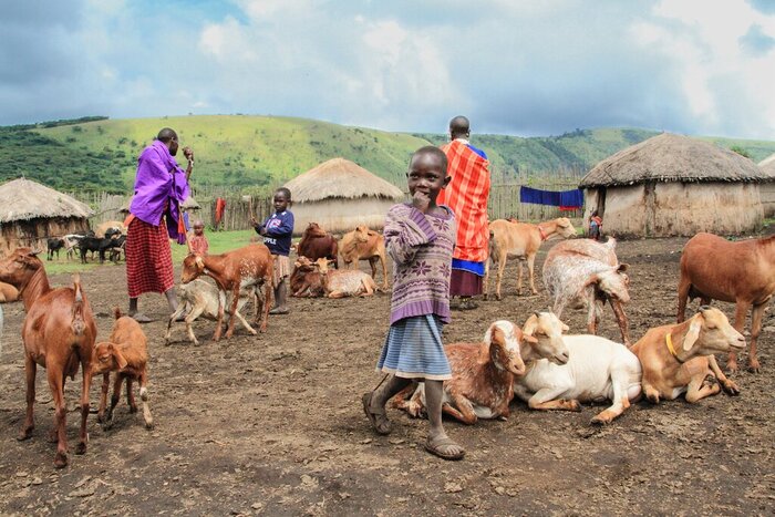 Ten days gives you time for cultural experiences (like visiting a Maasai village) alongside wildlife safaris