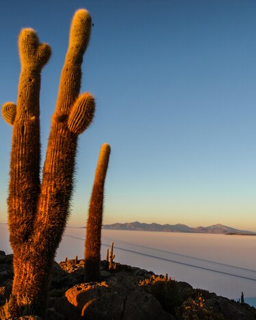 Uyuni Salt Flats