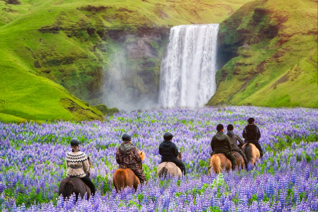 Tourist ride horse at Skogafoss waterfall