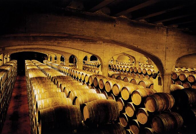 Visit to La Rioja Winery