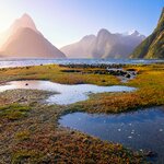 See New Zealand's Milford Sound /  Piopiotahi by boat and plane