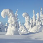 Risstunturi National Park in Lapland, Finland