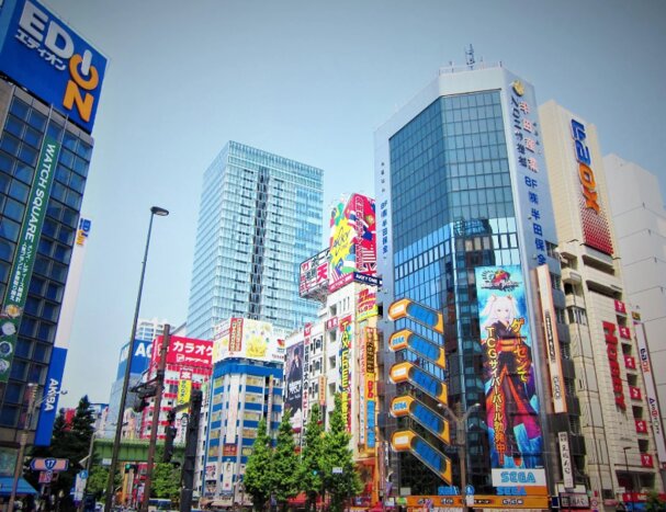 Tokyo Sumo , Anime, Art and Culinary Adventure day tour （Guide, Public Transportation）