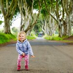 Stop for a photo-op at Antrim's Dark Hedges