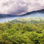 Mist over the mountains of Santa Fe National Park, Panama