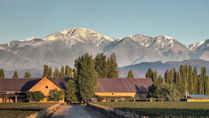 Full-Day Wineries - 2