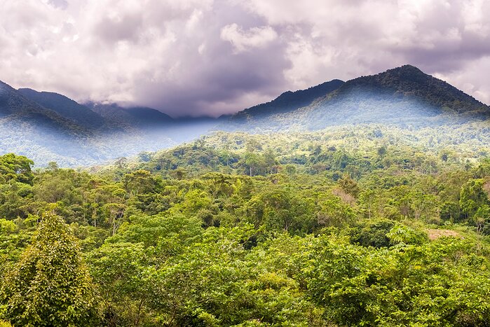 Get off the beaten path as you head into the Panamanian highlands near Santa Fe
