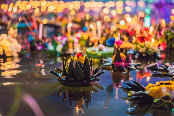 Khao Yai National Park – Bangkok - Loy Krathong Experience
