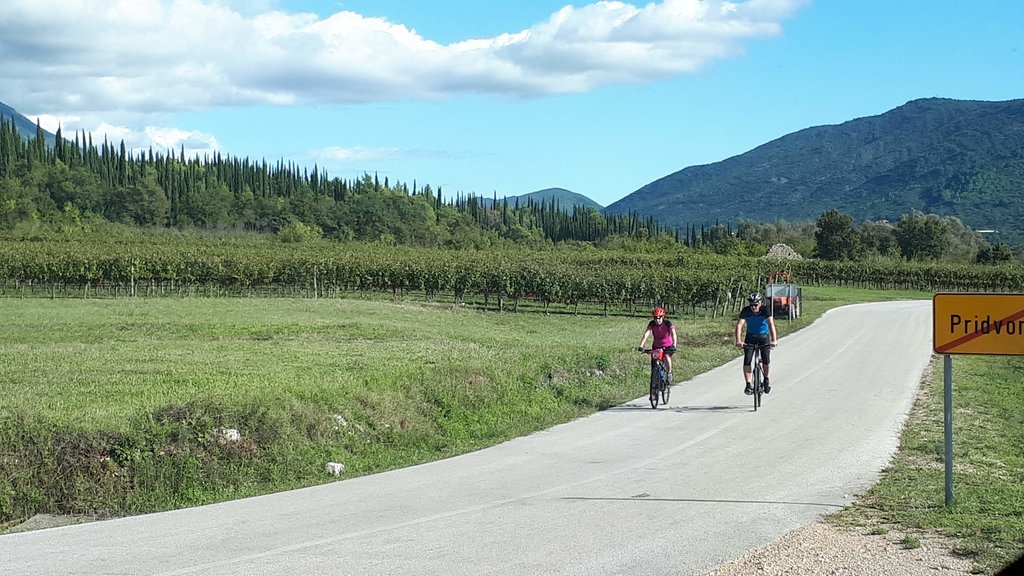 Warm up you muscles as you pedal through the Konavle Valley