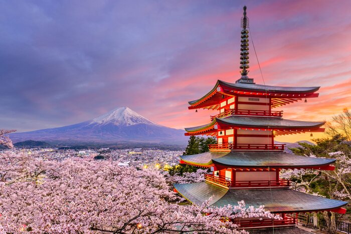 Goodbye Japan!