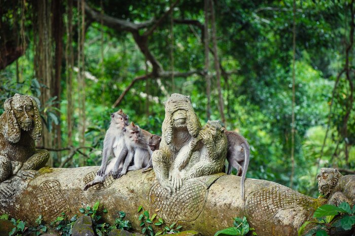 Delight in the antics of the macaques as you explore Ubud's Sacred Monkey Forest Sancturay
