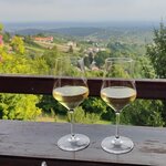 Lunch & Wine Tasting in Zagreb's Countryside