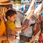 Mother and child petting a donkey in Spain