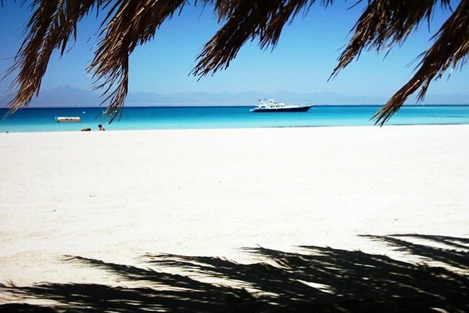 Snorkelling/Diving trip