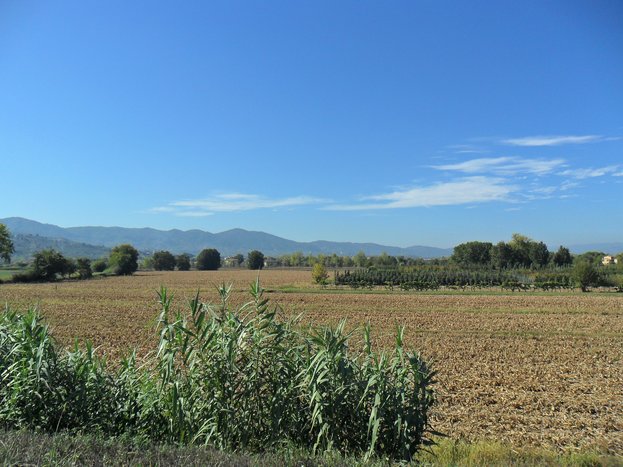 Private tour of Chianti wine region