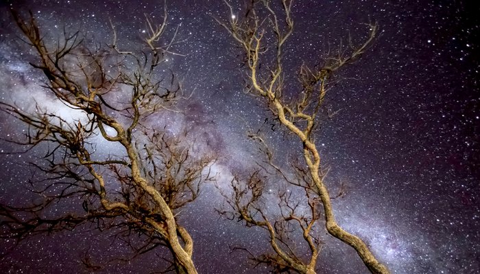 Outback Sky Journeys - Astro Tour 