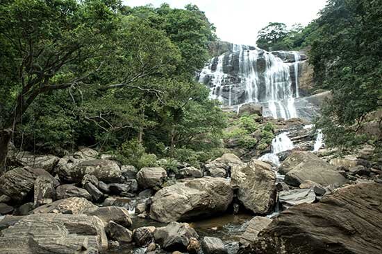 Rathna Ella Combined Village Experience