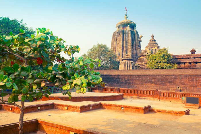 Explore Bhubaneshwar's ancient temples, including the 11th-century Lingaraj Temple