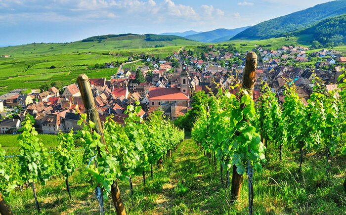 Visit the Champagne region for the day!