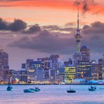 Take in Auckland at sunset