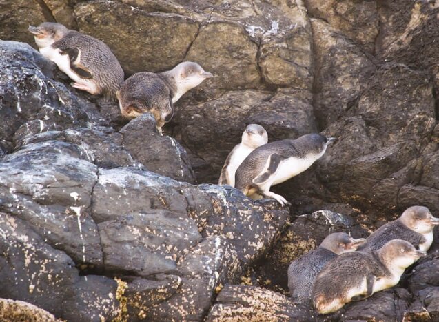 Full Day Hike (self guided) and Guided Kayak