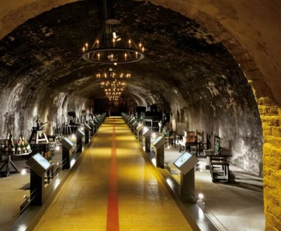 Guided visit and tasting at Mumm