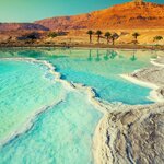 Feel weightless in the salty waters of the famous Dead Sea