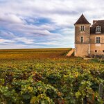 Spend a day touring the grand wine estates of Burgundy