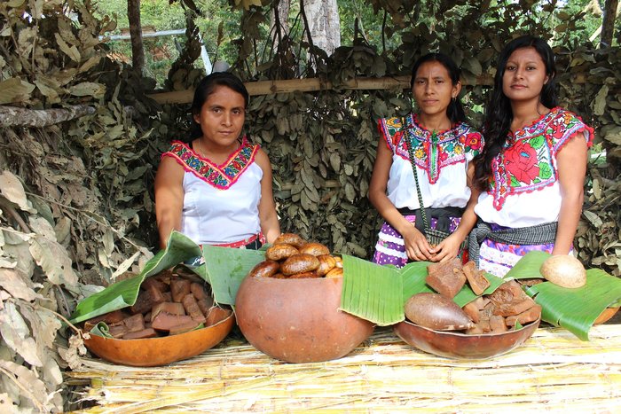 Explore Oaxaca (city tour)