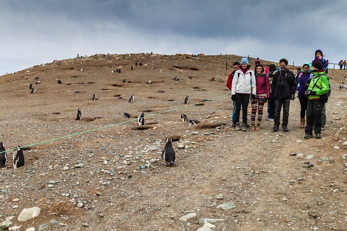 Walking by penguins on Isla Magdalena