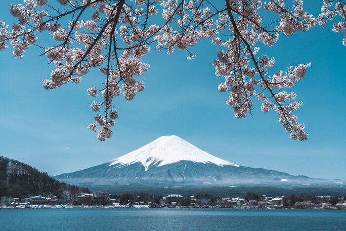 Hakone one day tour with Fuji view spot