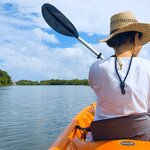 Snorkel and kayak around the barrier reefs and nature reserves of southern Belize